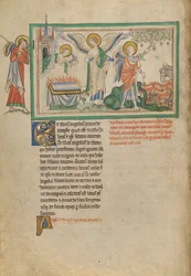 De druivenoogst